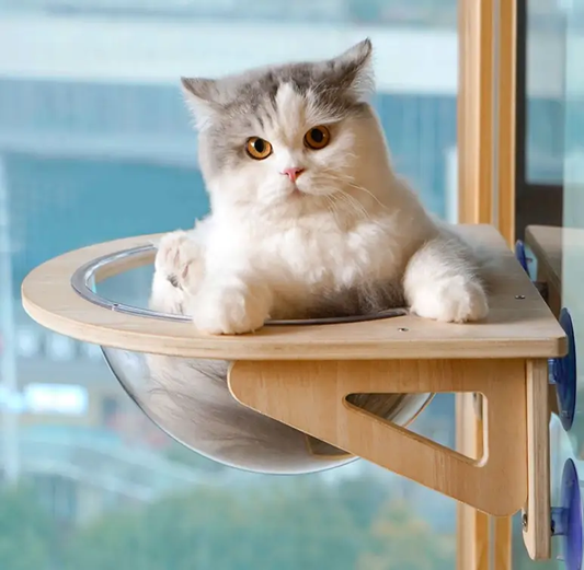 Space Capsule Cat Nest and Hammock Suction Cup perch cat condo by VIP Digital Presence on Tampa Home & Garden Store