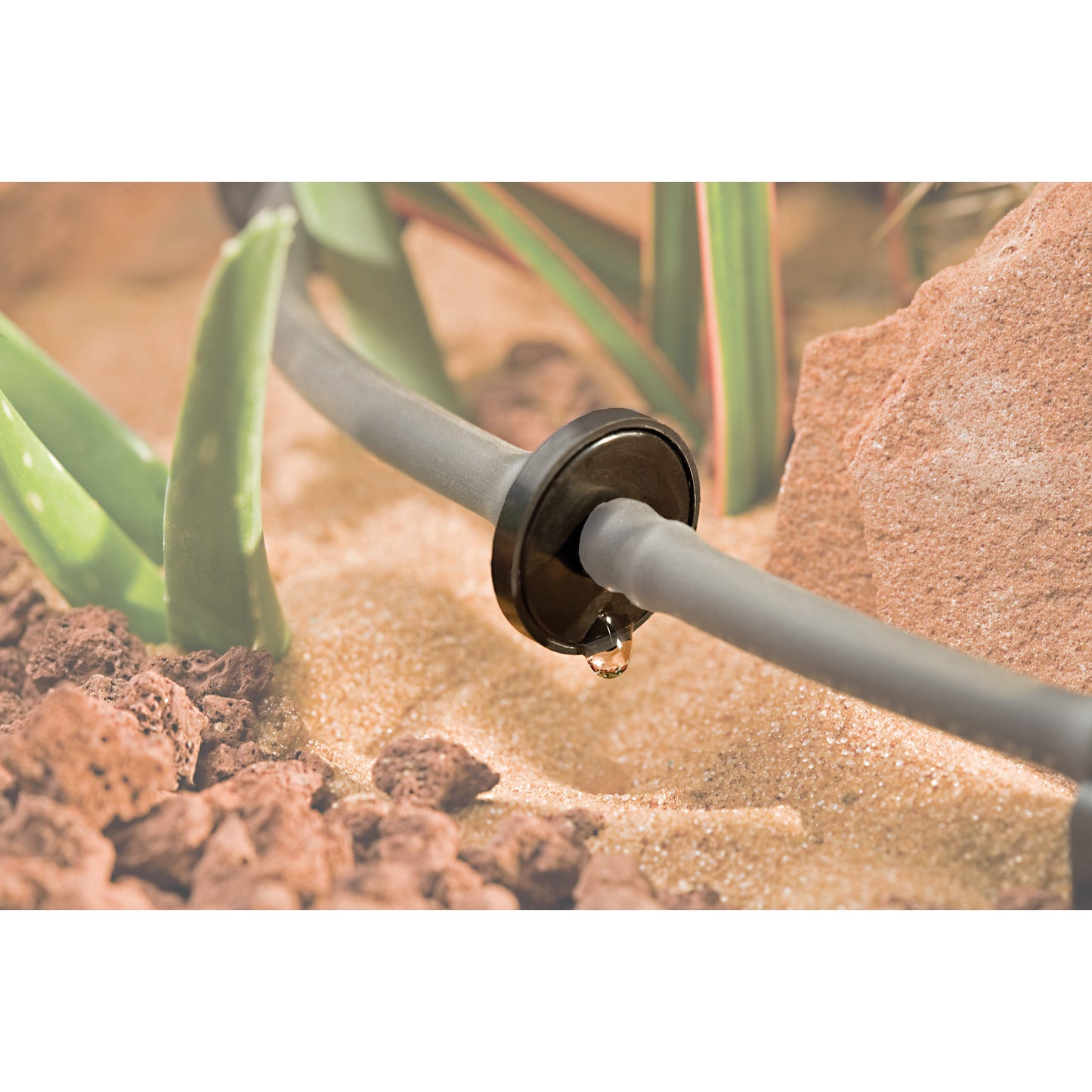 1/4 inch barb inline dripper, 1 GPH, black emitter on gray drip tubing on Tampa Home & Garden Store