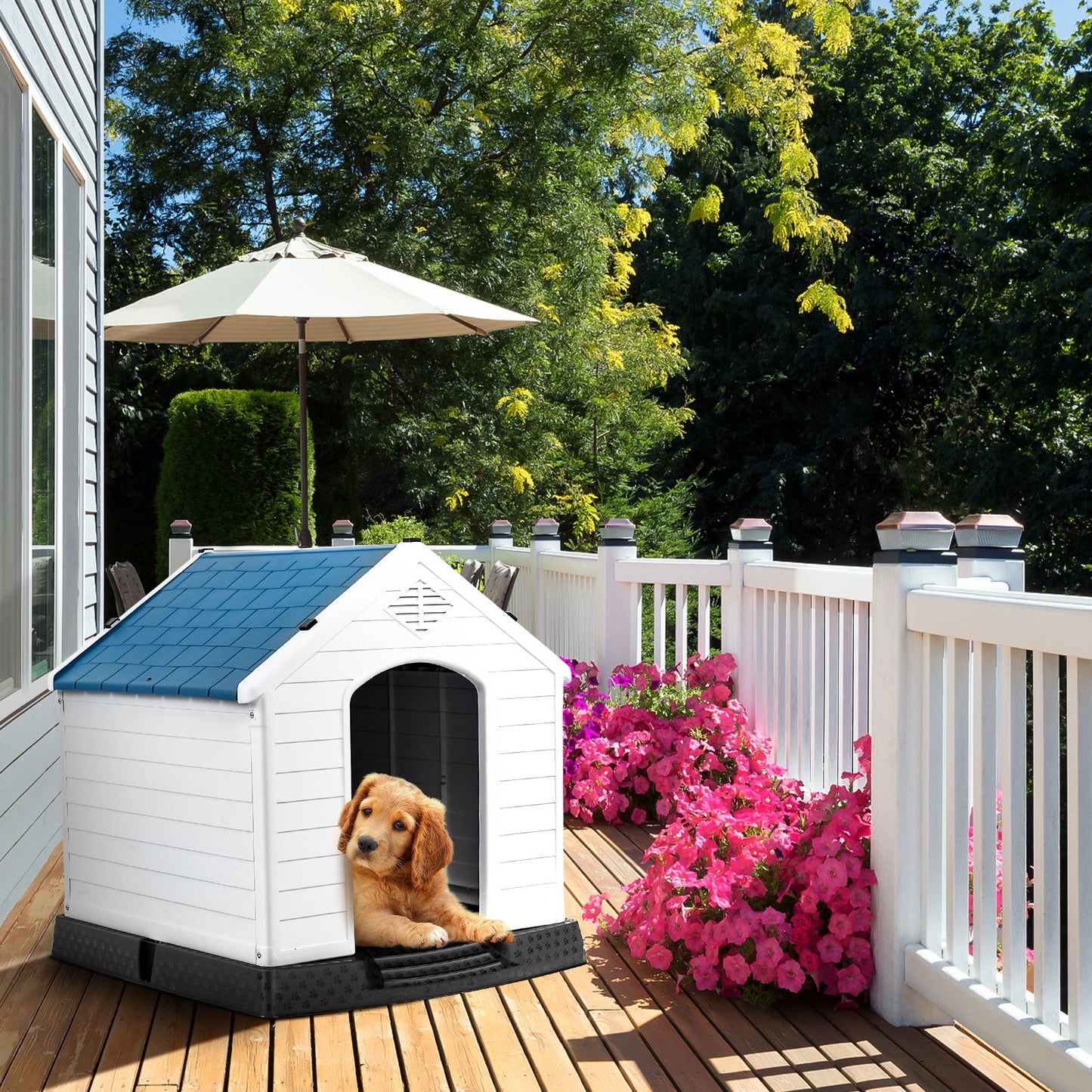 DirectDeals Indoor Outdoor Waterproof Plastic Dog House white with blue roof on Tampa Home & Garden Store
