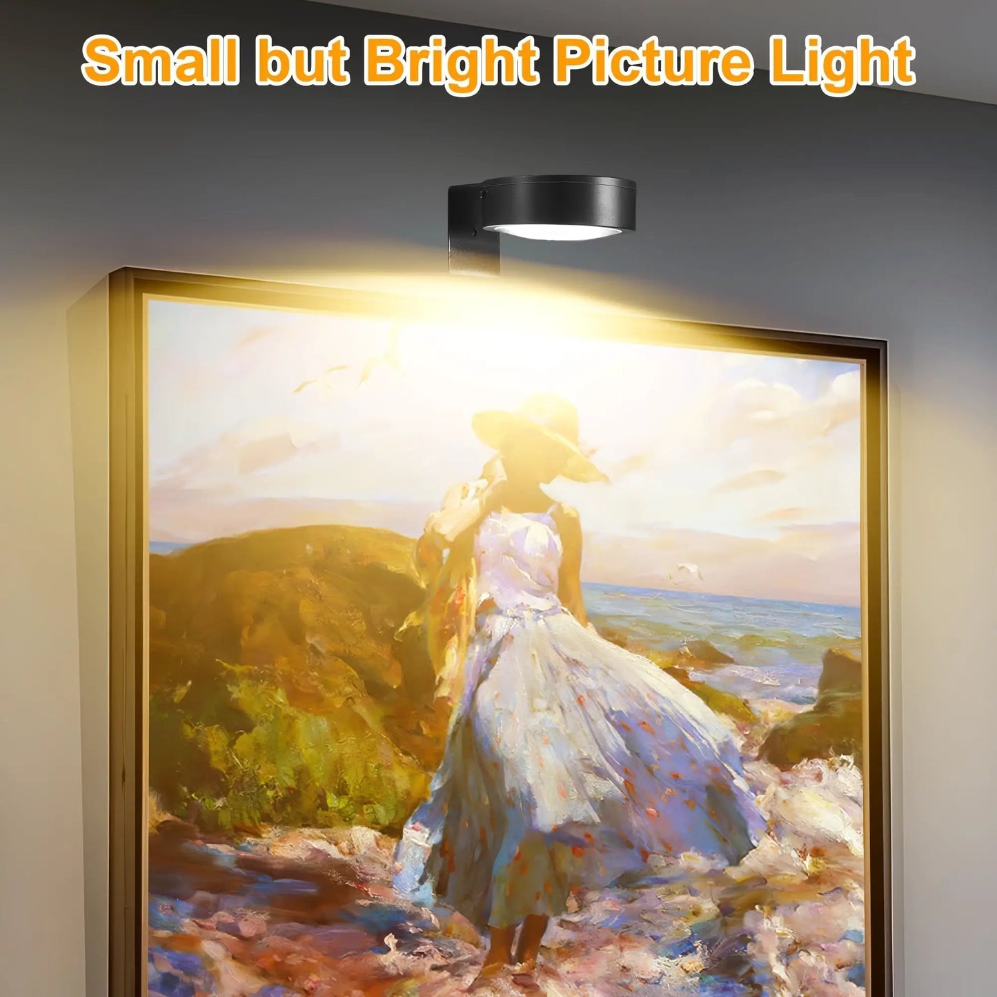 Magnetic LED picture light ceiling fixture, black metal with remote over framed artwork on Tampa Home & Garden Store