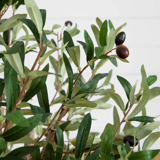 Two and a Half Foot Olive Silk Tree with slender leaves and olives, artificial plant on Tampa Home & Garden Store