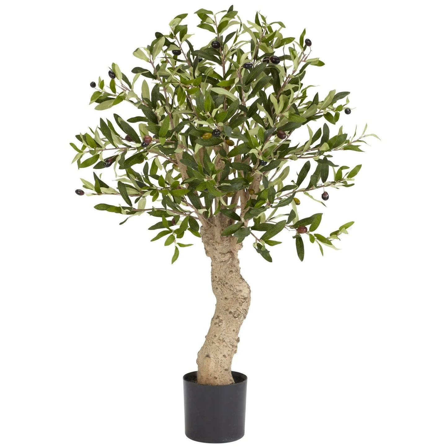 Two and a Half Foot Olive Silk Tree with olive-green leaves in a black pot by Nearly Natural on Tampa Home & Garden Store