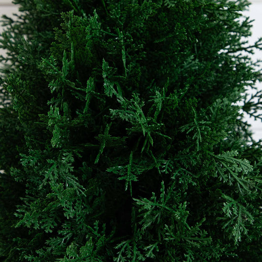 2.5' UV Resistant Artificial Cedar Plant with Integrated Ground Stake (Indoor/Outdoor) - Set of 2 - Tampa Home & Garden Store