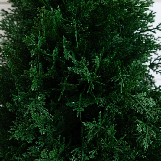 2.5 ft UV Cedar artificial plant set of 2 with integrated ground stakes by Nearly Natural on Tampa Home & Garden Store