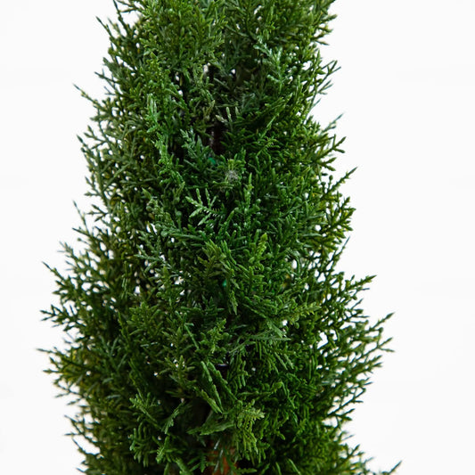 2' Cedar Spiral Silk Tree (In-door/Out-door) - Tampa Home & Garden Store