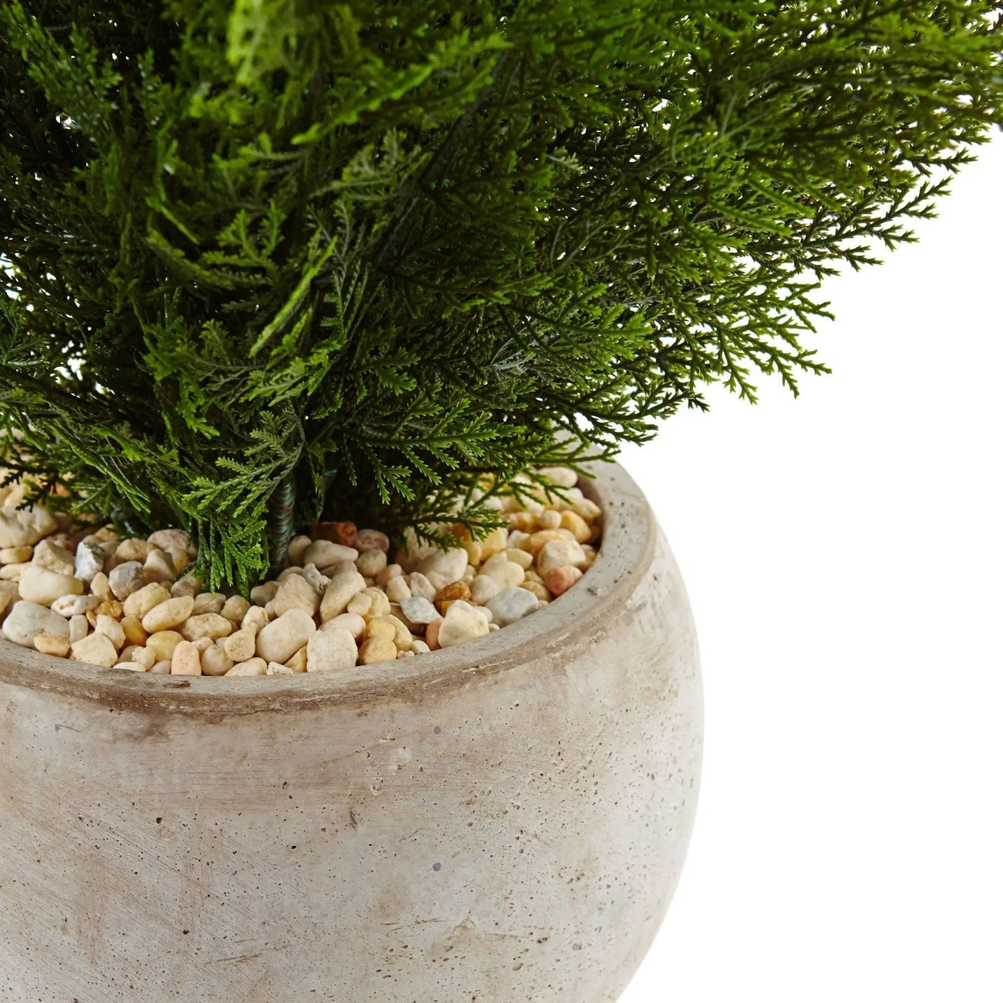 2โ Cedar in Sand Colored Bowl - Tampa Home & Garden Store