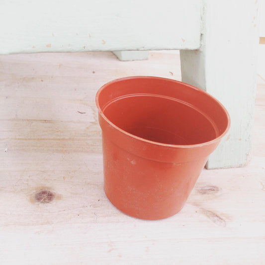 2" Growing Pot - Tampa Home & Garden Store