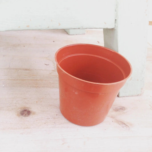 2 inch orange plastic growing pot for seedlings and herbs The Plant Farm® on Tampa Home & Garden Store