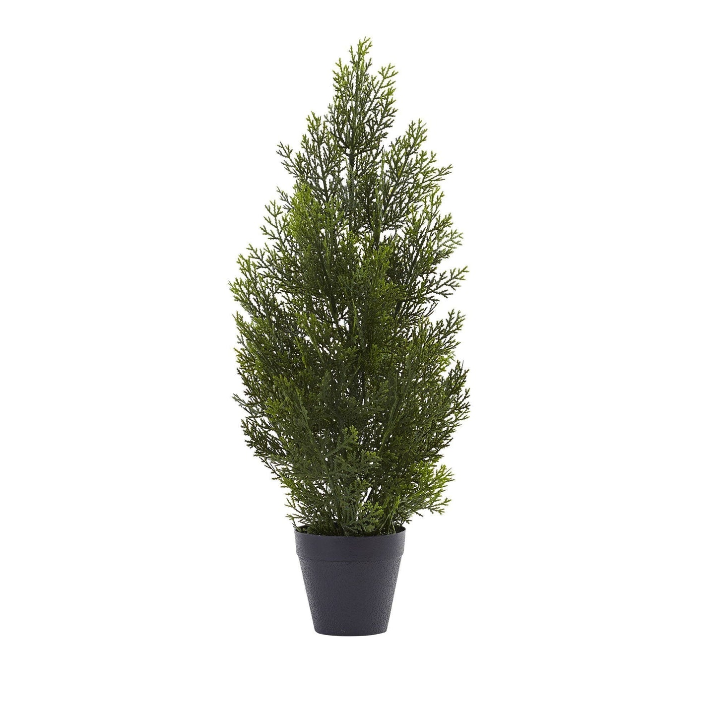 2’ Mini Cedar Pine Tree (Indoor/Outdoor) - Tampa Home & Garden Store