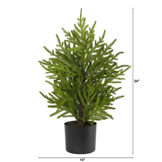 Norfolk Island Pine in Planter Nearly Natural artificial tree green foliage 24in tall on Tampa Home & Garden Store