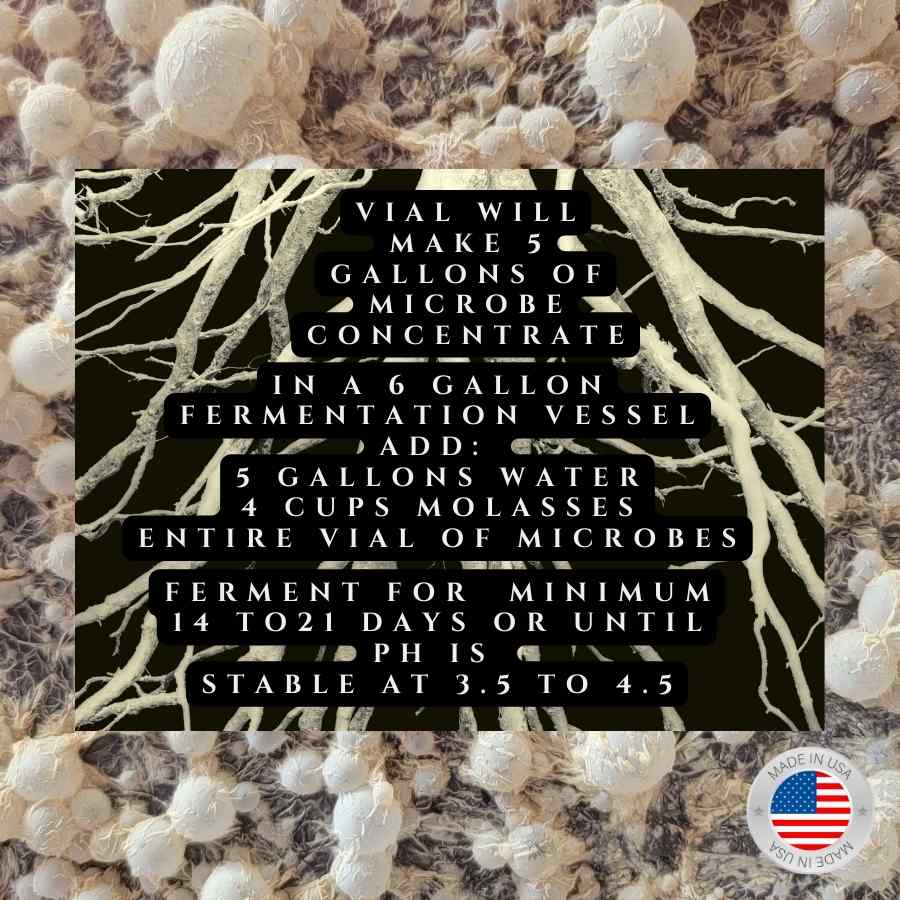 BrewKashi Spore: Lactobacillus Casei | Composting Spores - Tampa soil911.com