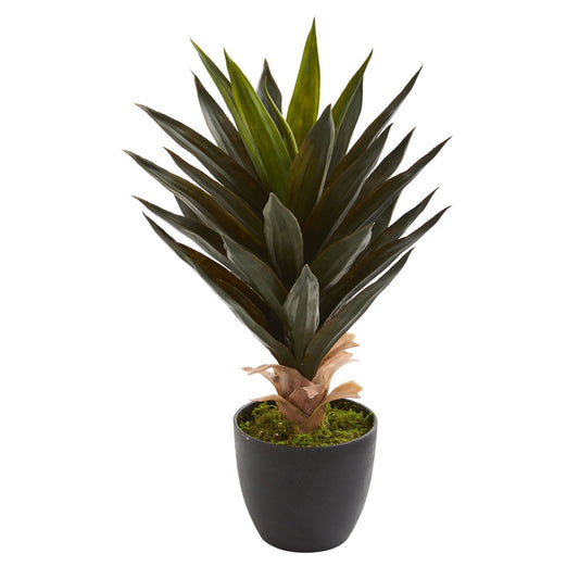 20" Agave Artificial Plant (Set of 2)" - Tampa Home & Garden Store
