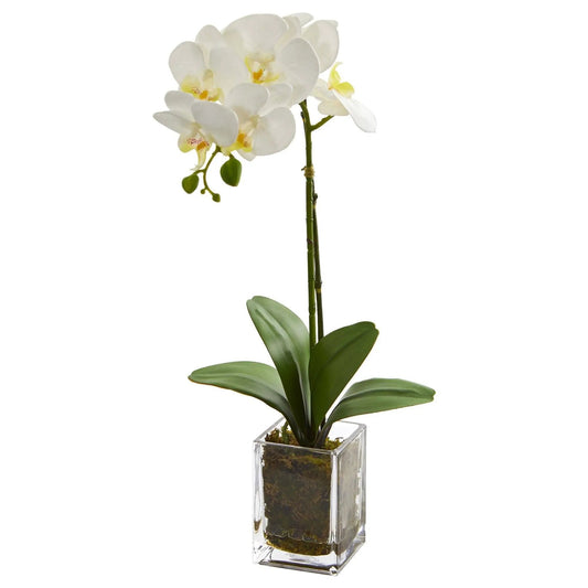 20-inch white Phalaenopsis orchid in square glass vase, Nearly Natural artificial flowers on Tampa Home & Garden Store