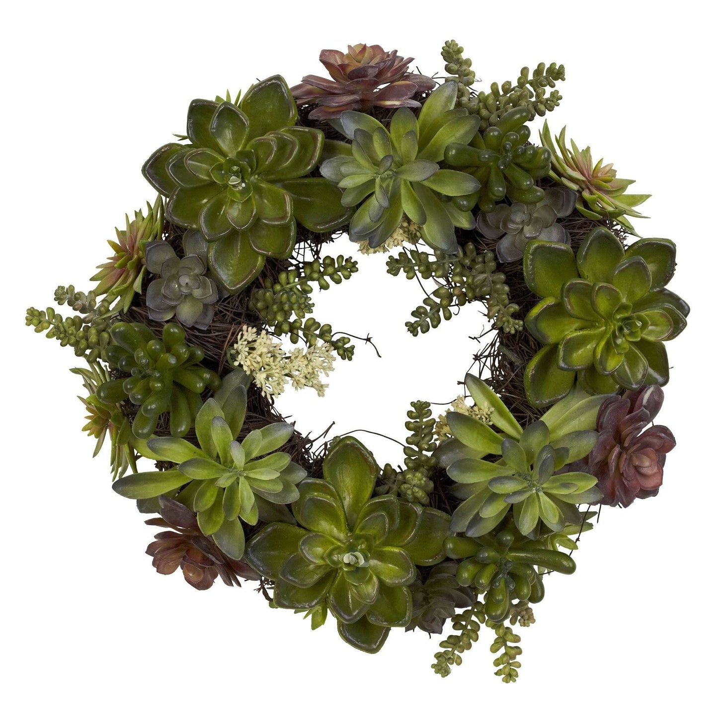20" Succulent Wreath - Tampa Home & Garden Store