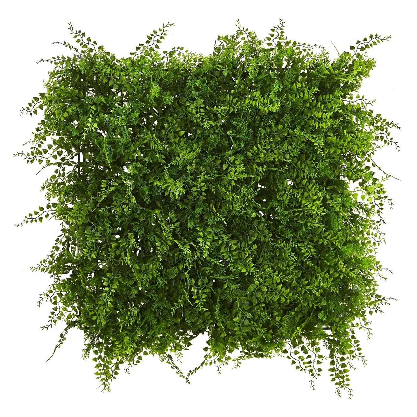 Mediterranean 20x20 artificial fern wall panel in lush green for indoor/outdoor use on Tampa Home & Garden Store