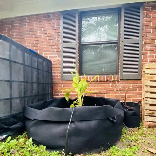Two Bootstrap Farmer 200 gallon black grow bags for raised beds on Tampa Home & Garden Store