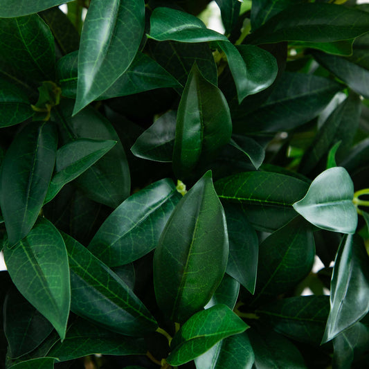 4’ Bay Leaf Artificial Topiary Tree UV Resistant (Indoor/Outdoor) - Tampa Home & Garden Store