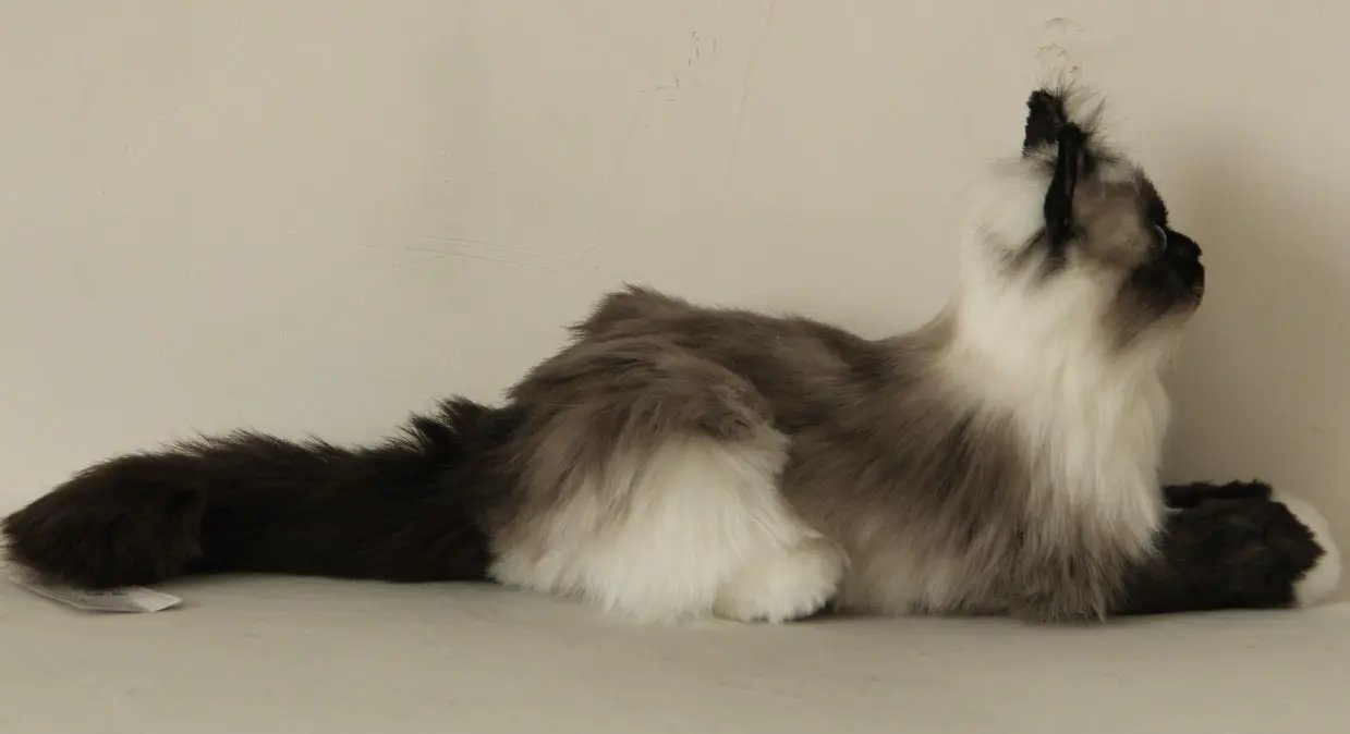 Plush Siamese Cat longhair weighted memorial, gray-brown and white fur by Chongker on Tampa Home & Garden Store