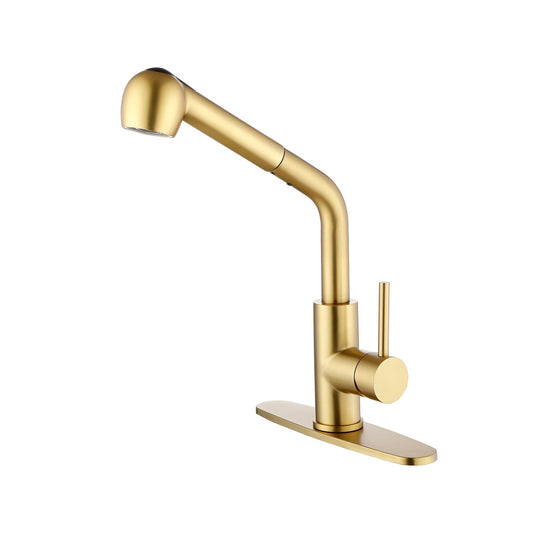 Single-handle kitchen faucet with pull-out sprayer in gold finish on Tampa Home & Garden Store