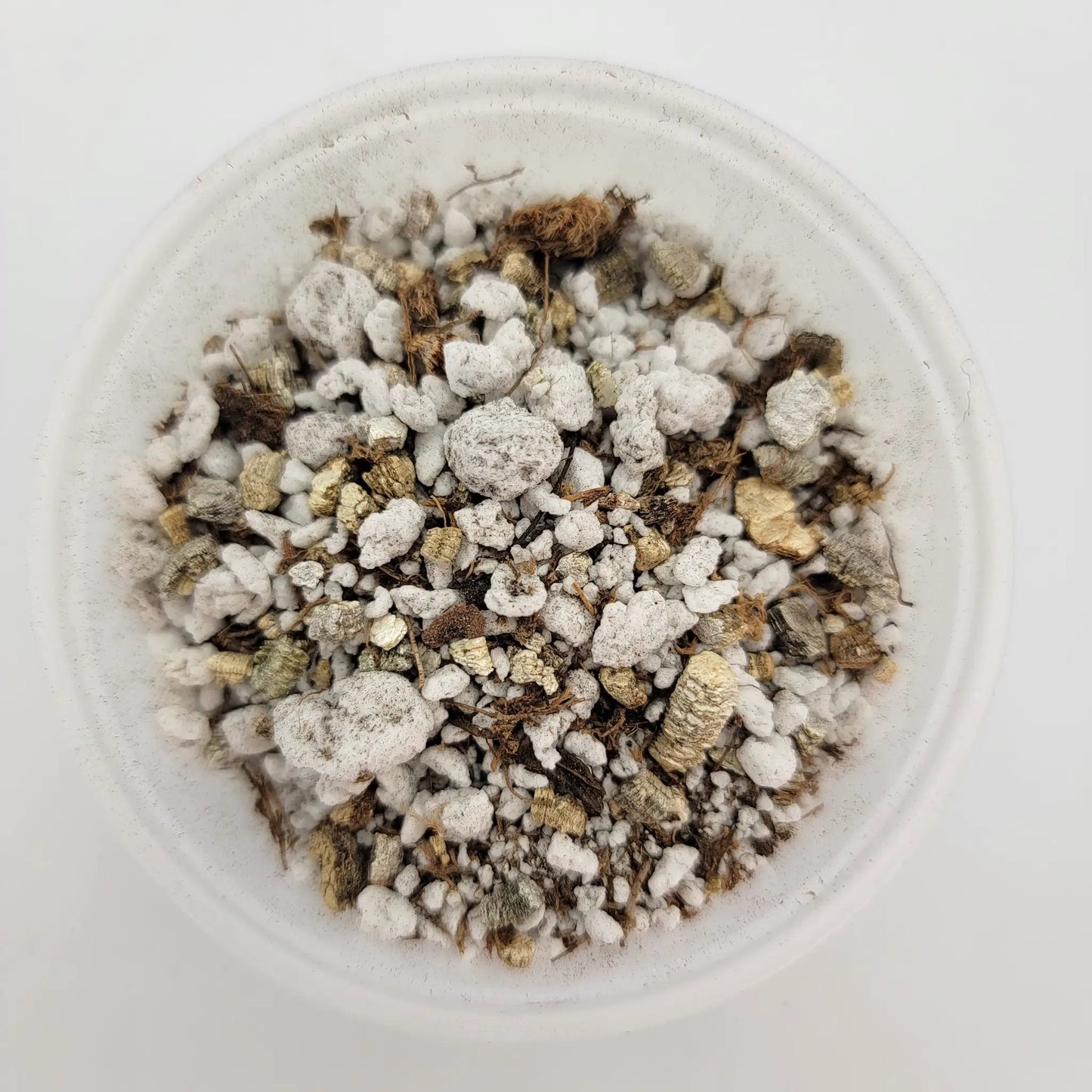 Mexican Pinguicula soil mix - Tampa Home & Garden Store