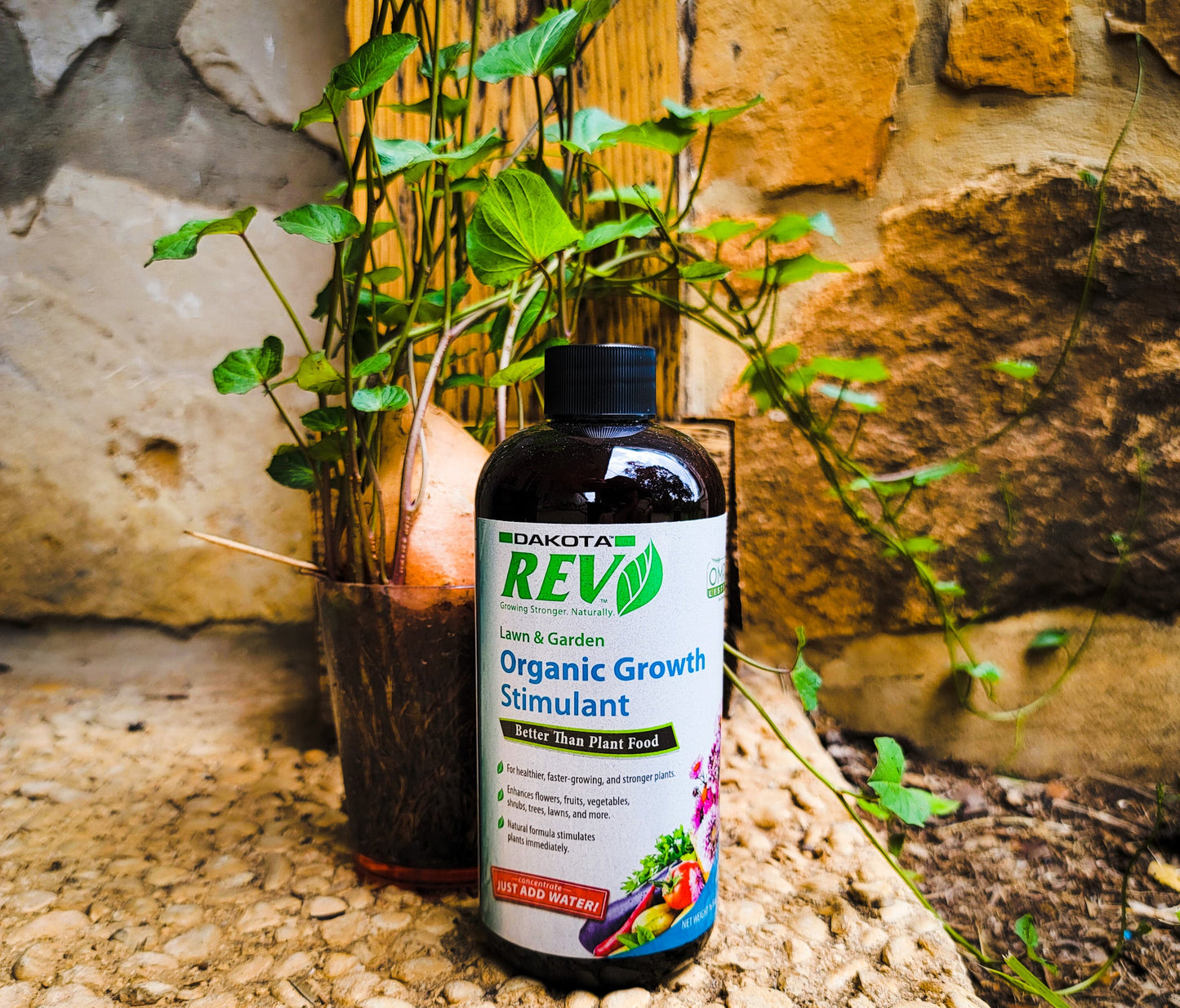 Organic Rev Liquid Plant Food bottle by OrganicRev with a green label in a garden on Tampa Home & Garden Store