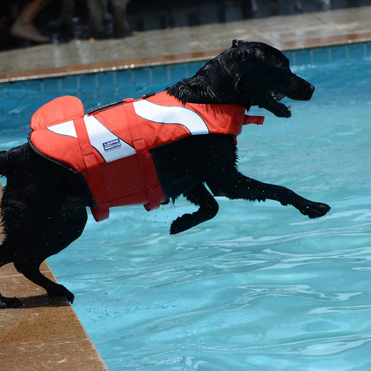 Pet Zen Mermaid Shark dog life vest orange with white panels worn by black dog on Tampa Home & Garden Store