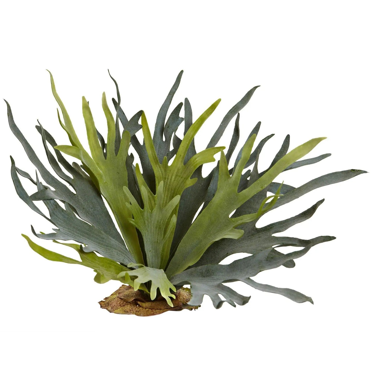Animated Staghorn Fern Set of 2; Nearly Natural artificial wall display with green-gray fronds on Tampa Home & Garden Store