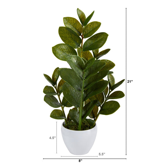 22” Zamioculcas Artificial Plant in White Planter - Tampa Home & Garden Store