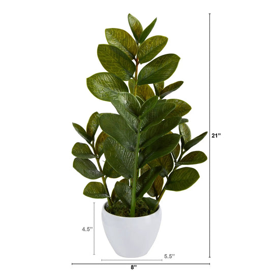 ZZ Plant artificial 22 inch in white planter with glossy green leaves on Tampa Home & Garden Store