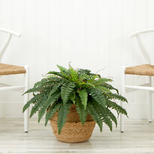 Artificial Boston Fern in a woven natural jute basket with lush green fronds on Tampa Home & Garden Store