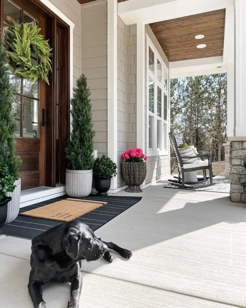 Artificial 23 Inch Peperomia Plant UV Resistant on front porch with potted greenery and a dog on Tampa Home & Garden Store