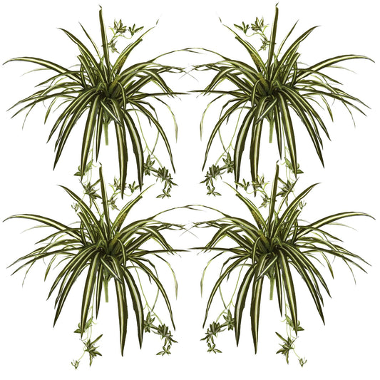 23” Spider Plant Bush (Set of 4) - Tampa Home & Garden Store