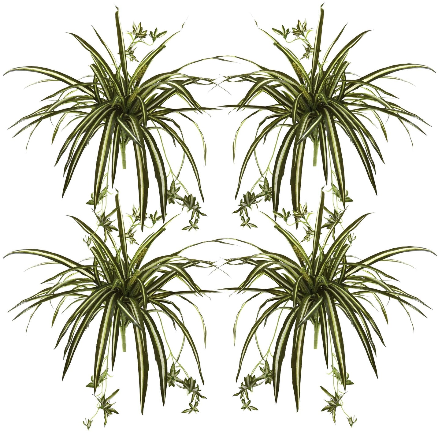 23” Spider Plant Bush (Set of 4) - Tampa Home & Garden Store