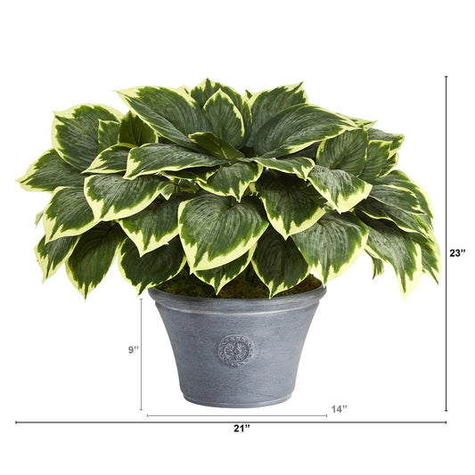 Variegated Hosta artificial plant in gray planter by Nearly Natural on Tampa Home & Garden Store