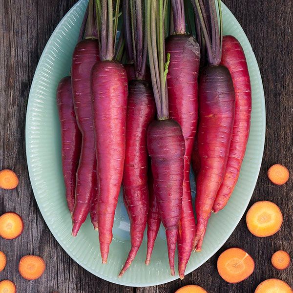 Dragon Carrot seeds purple-red carrot bunch on turquoise plate on Tampa Home & Garden Store