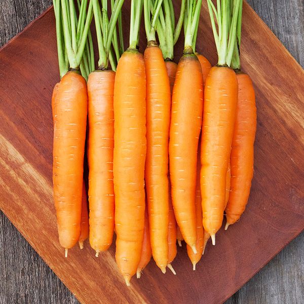 Dolciva carrot seeds orange carrots with green tops on wooden board Seedtime Store on Tampa Home & Garden Store