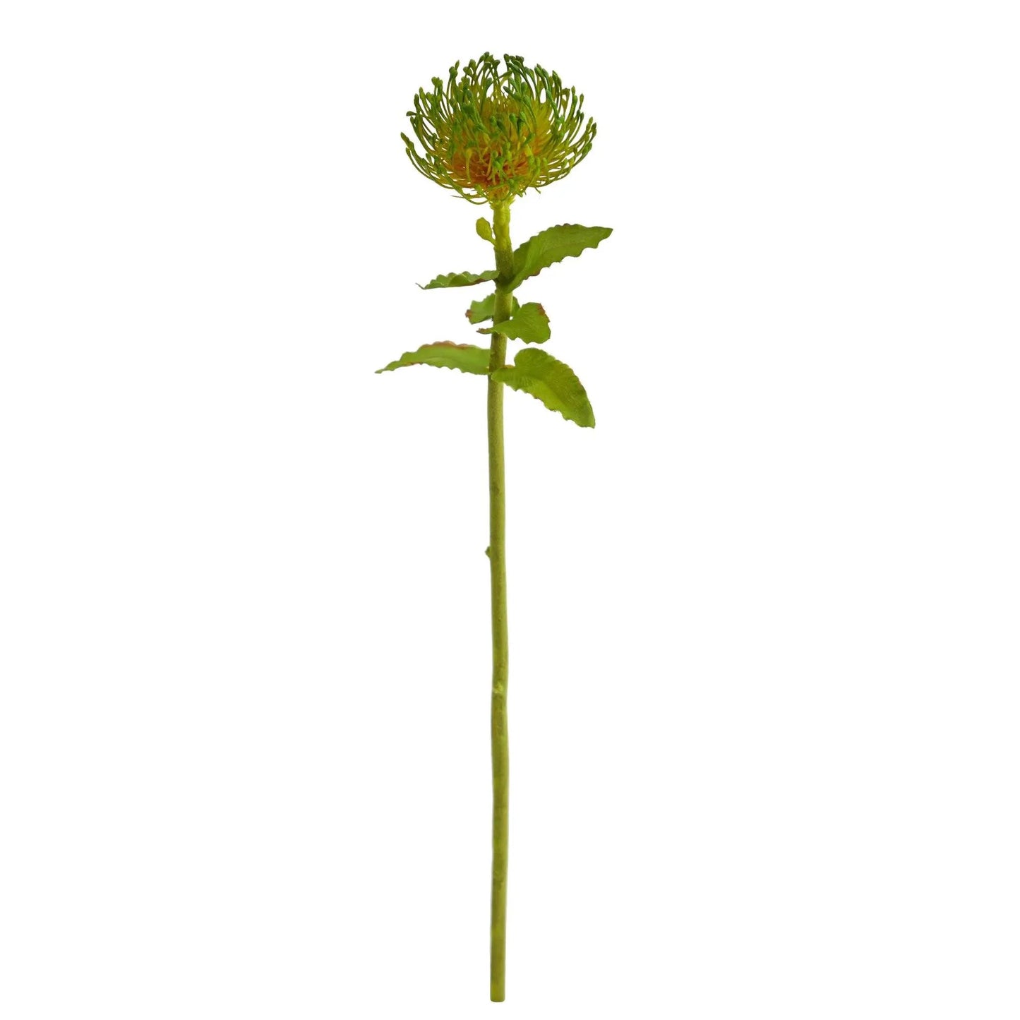 24in pincushion artificial flower stem set of 6, green-yellow bloom on Tampa Home & Garden Store