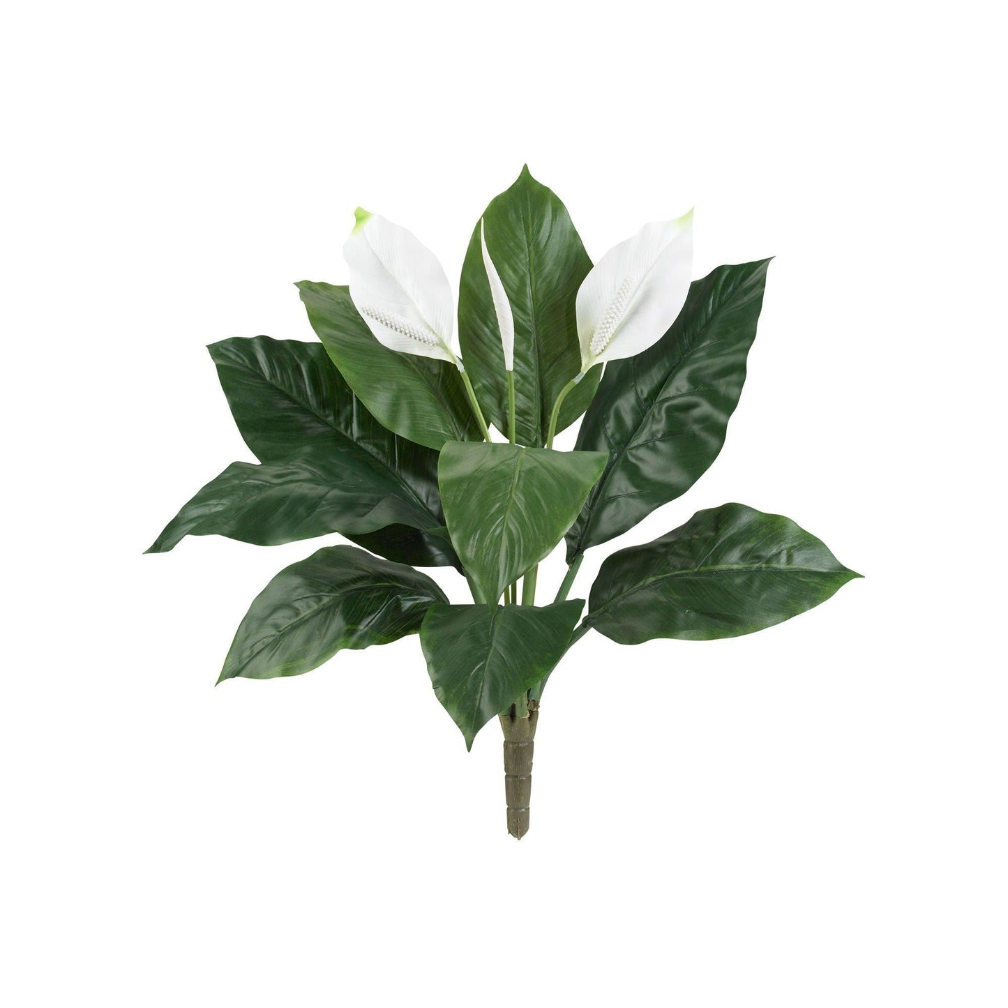24” Spathiphyllum Artificial Plant (Set of 3) - Tampa Home & Garden Store