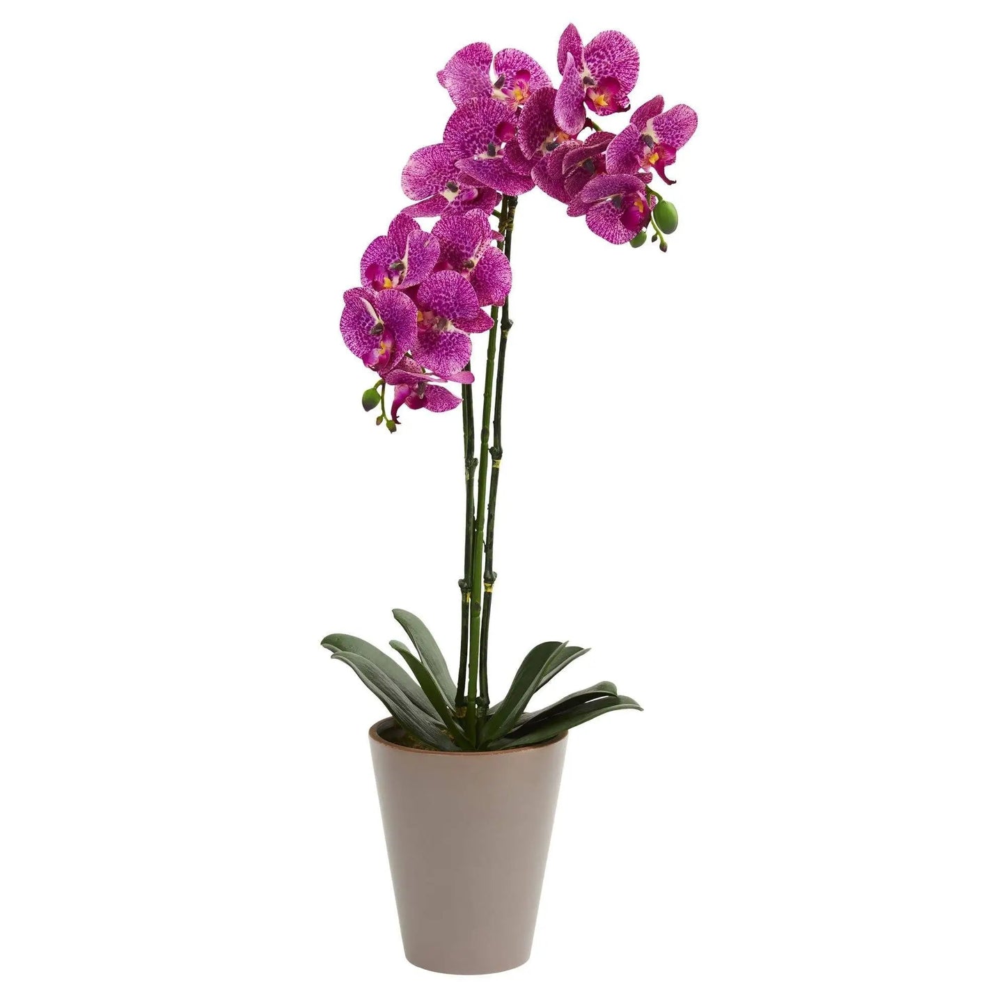 24โ Speckled Phalaenopsis Orchid Artificial Arrangement - Tampa Home & Garden Store