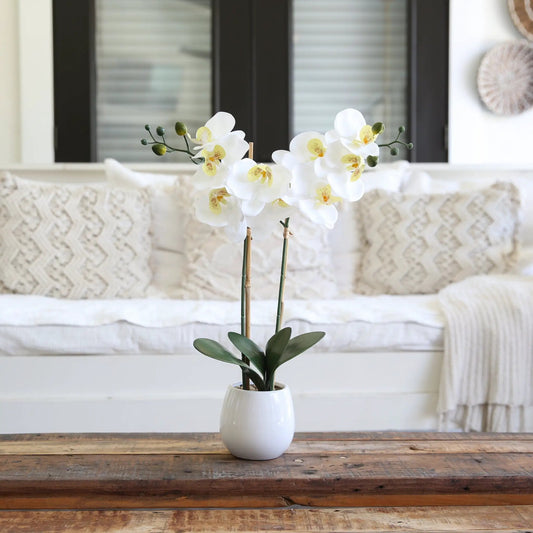 Artificial Real to Touch Orchid with 2 stems in a white ceramic vase, yellow-centered blooms on Tampa Home & Garden Store