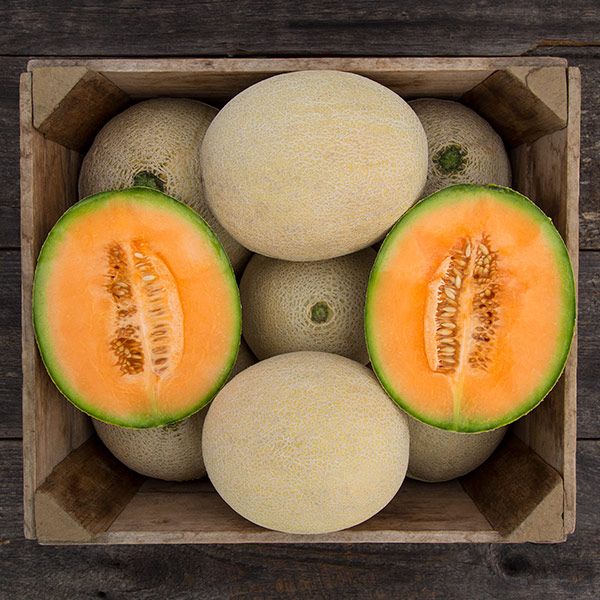 True Love F1 melons in a wooden crate; sliced view shows orange flesh and seeds on Tampa Home & Garden Store