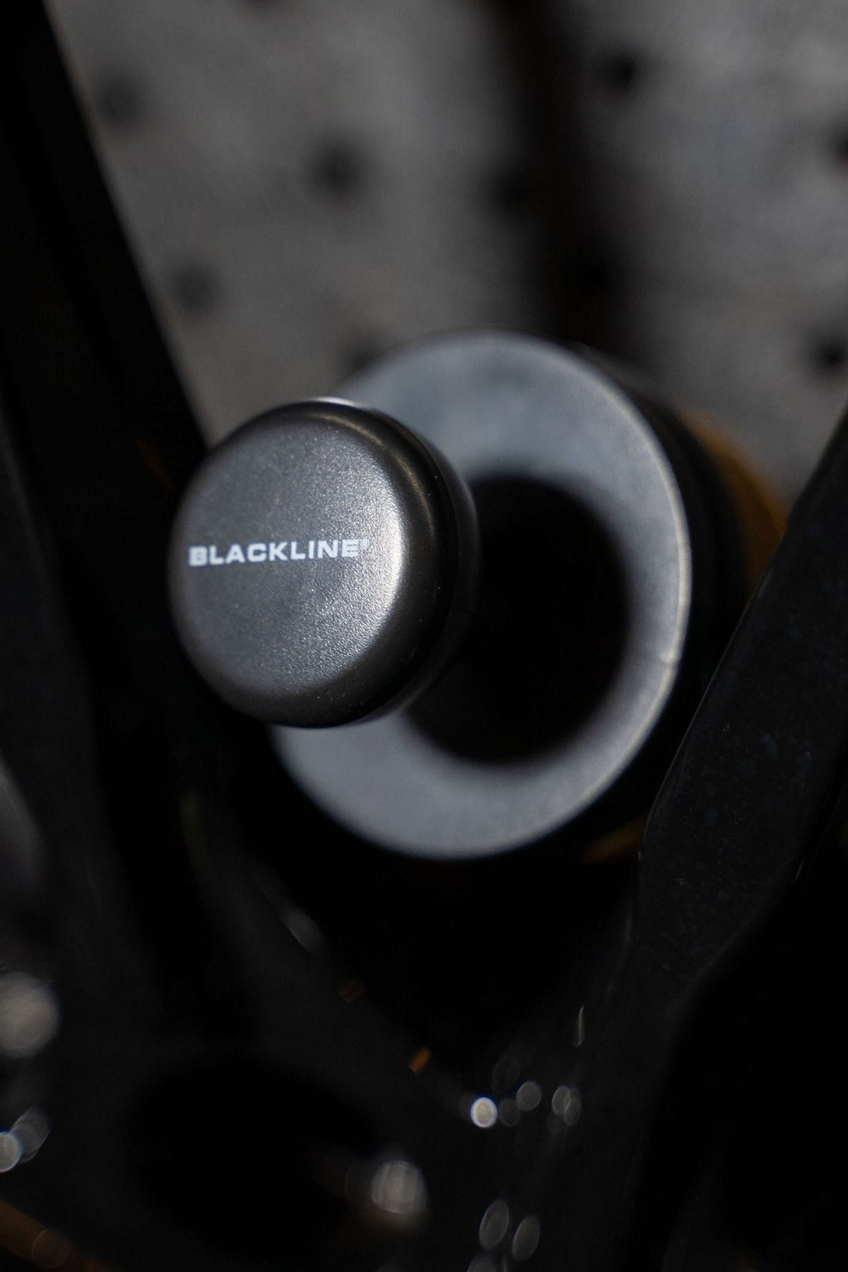 BLACKLINE Tire Shine Applicator Brush head, black metallic knob with BLACKLINE branding on Tampa Home & Garden Store