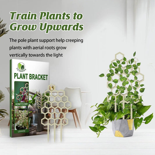 Garden plant trellis with honeycomb hex brackets and leaves, YEGBONG bracket on Tampa Home & Garden Store