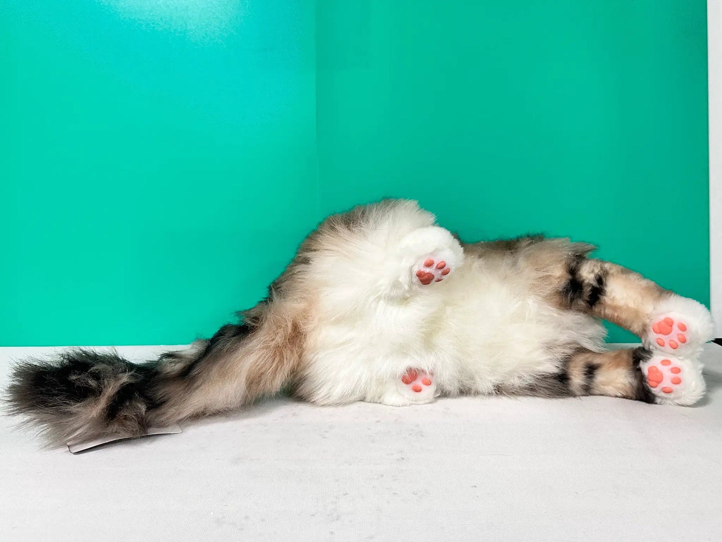 Plush Norwegian Forest Cat Lifesize by Chongker fur tan patches, pink paw pads on teal on Tampa Home & Garden Store