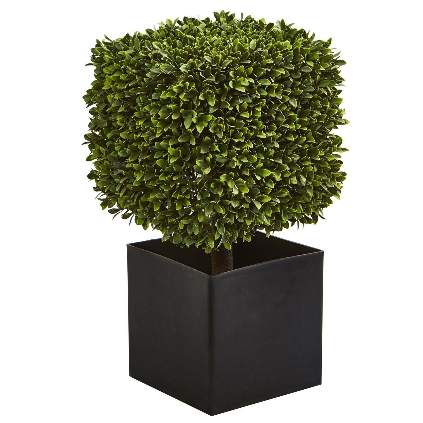 27” Boxwood Artificial Plant in Black Planter (indoor/Outdoor) - Tampa Home & Garden Store