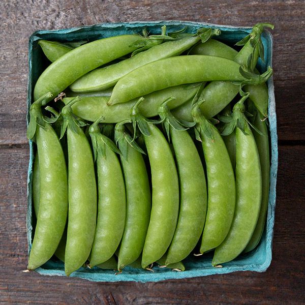 Sweet Gem Sugar Snap Pea seeds; Seedtime Store green pea pods in a blue carton on Tampa Home & Garden Store