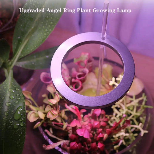 LED Grow Light Full Spectrum Angel Ring Phyto Grow Lamp USB Phytolamp For Plants 5V Lamp Indoor Flower Greenhouse Plant Seedling - Tampa Home & Garden Store