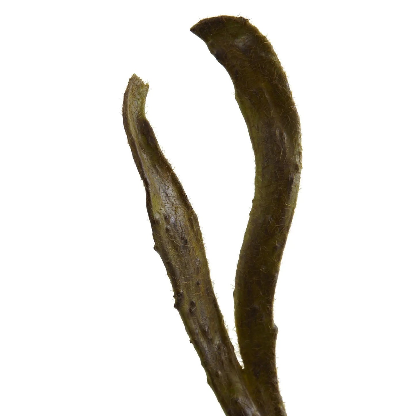 28-inch artificial branches set of twelve, Nearly Natural brown fuzzy stems on Tampa Home & Garden Store