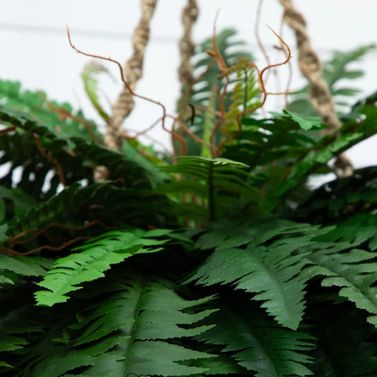 Artificial Double Giant Boston Fern Hanging Basket Nearly Natural green non-flowering plant on Tampa Home & Garden Store