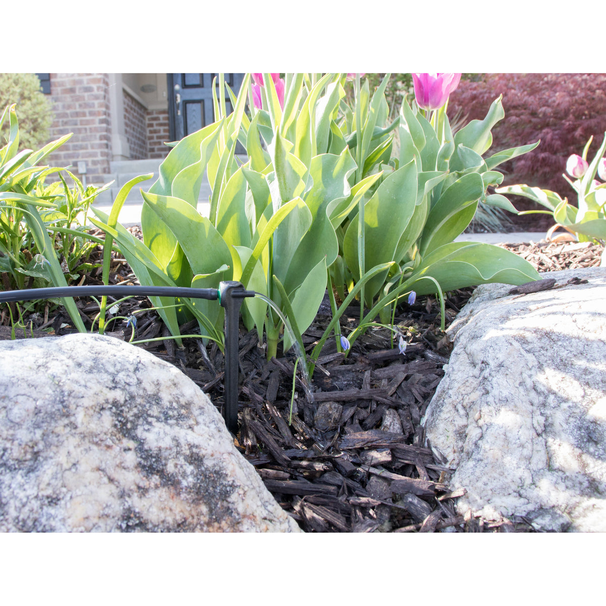 1/4 in Barb 2 GPH PC Dripper on 5-in Stake Orbit Irrigation on Tampa Home & Garden Store